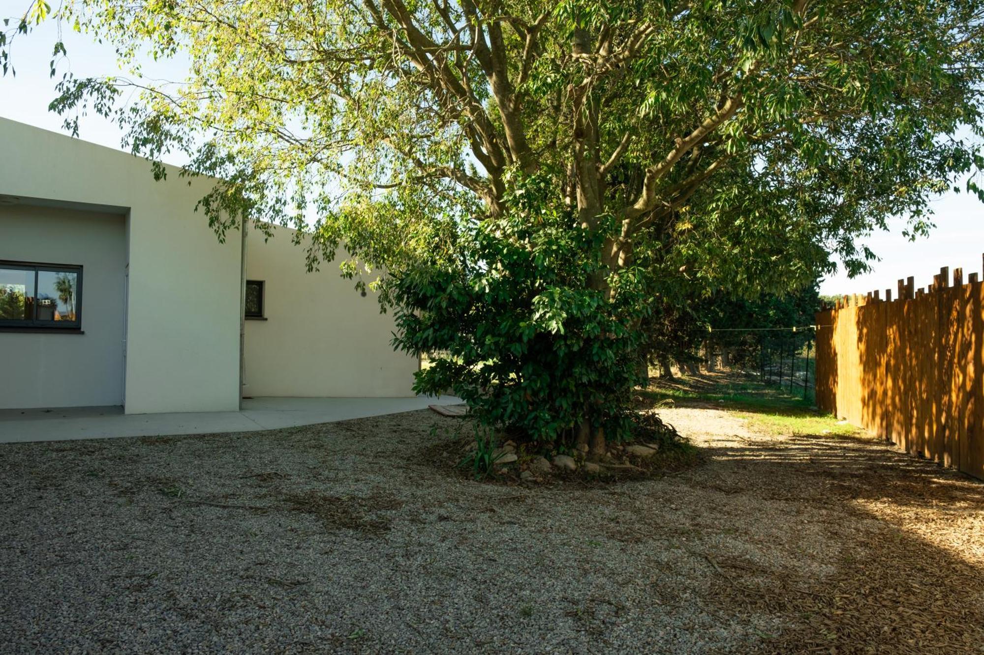 Villa Domaine Saint Thomas à Argelès-sur-Mer Extérieur photo