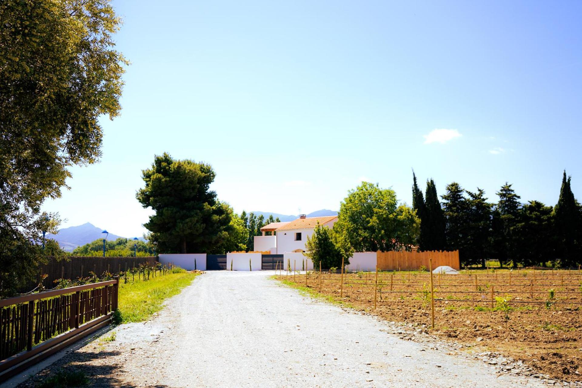 Villa Domaine Saint Thomas à Argelès-sur-Mer Extérieur photo